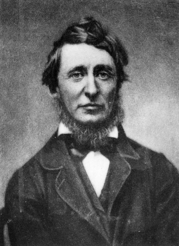 Henry David Thoreau (1817 - 1862) foto Hulton Archive/Getty Images